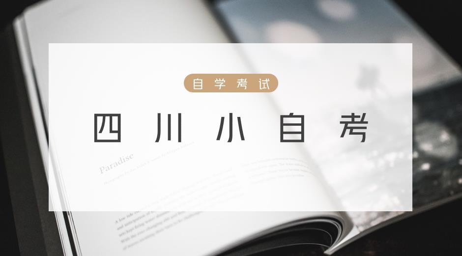 成都英华业教育科技有限责任公司(成都)